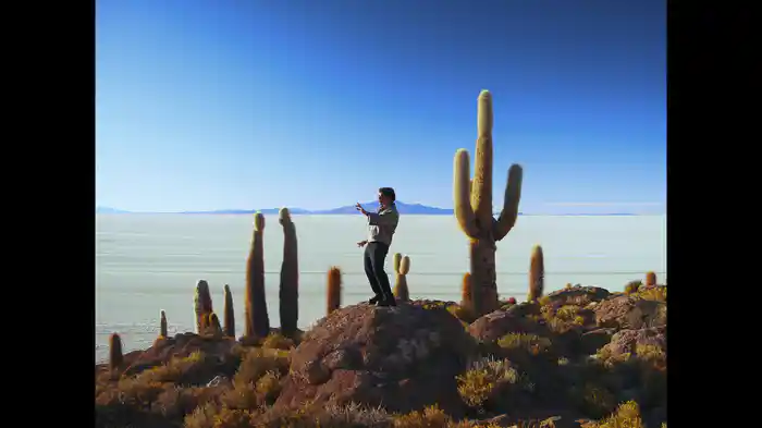Tu Energía