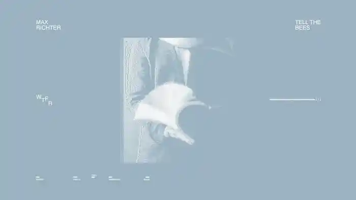 Tell The Bees (2026 Remastered / Visualiser)