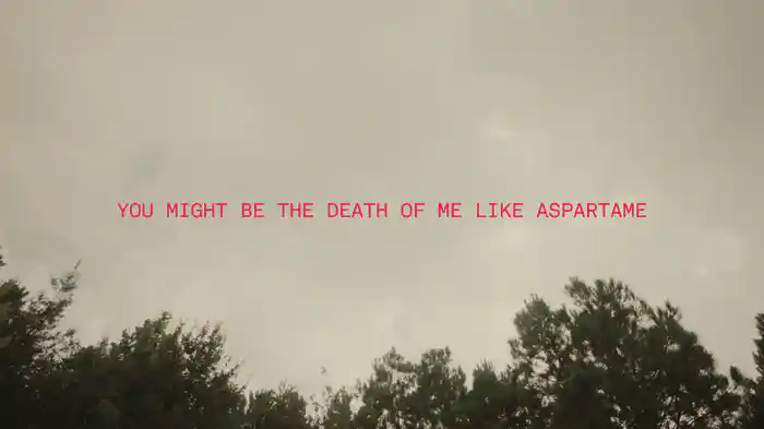 Aspartame (Lyric Video)