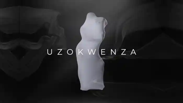 Uzokwenza (Visualizer)