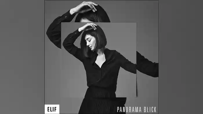 Panoramablick (Audio)