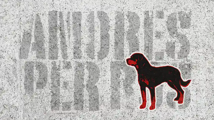 Amores Perros (Visualizer / Soundtrack Remasterización 2025)