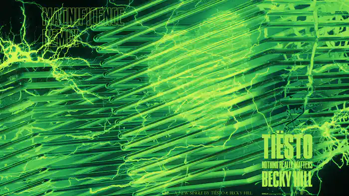 Nothing Really Matters (Magnificence Remix / Audio)