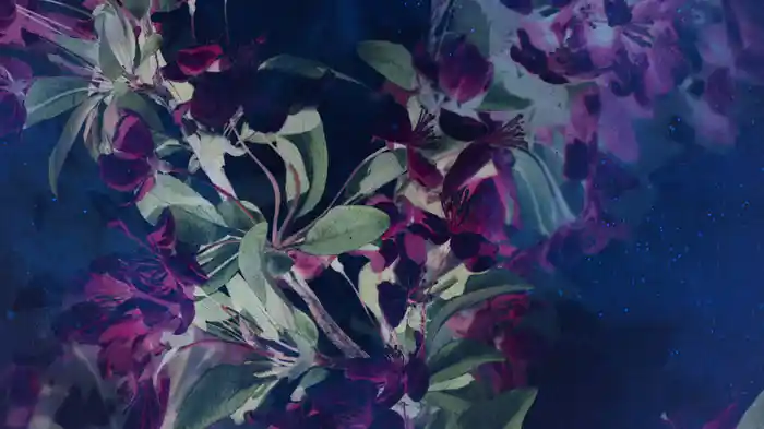 Trawnik (Lyric Video)