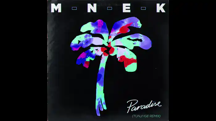 Paradise (Tunji Ige Remix / Audio)