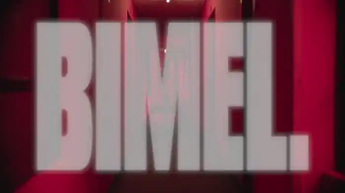 BIMEL. (Visualizer)