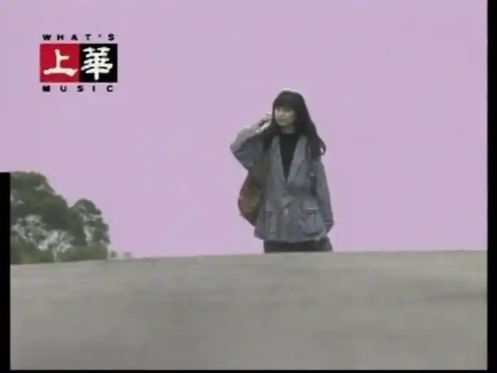 Shi Qu Ni De Lei (Karaoke)