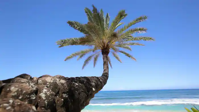 As Quatro Estações