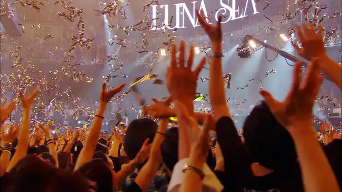 WISH (Live At LUV TOUR FINAL 武道館, 2018)