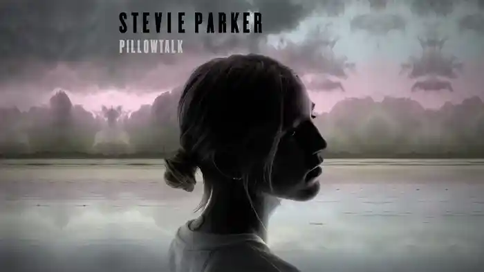 Pillowtalk (Audio)