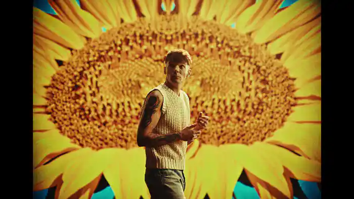 Sunflowers (Visualiser)