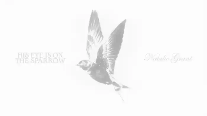 His Eye Is On The Sparrow (Audio)