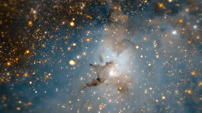 Wherever You Go (Visualiser)