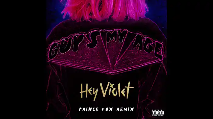 Guys My Age (Prince Fox Remix / Audio)
