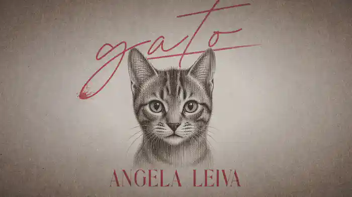 Gato (LETRA)