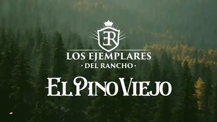 El Pino Viejo (LETRA)