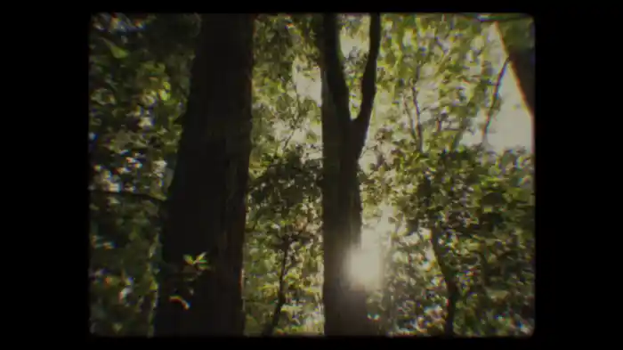 You Could Start A Cult (Encore Version / Lyric Video)