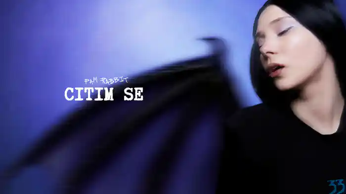 citim se (Lyric Video)