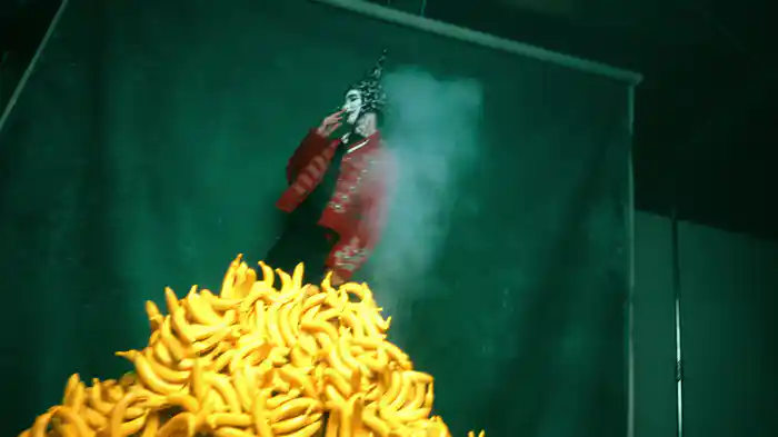 bananas (Visualizer)