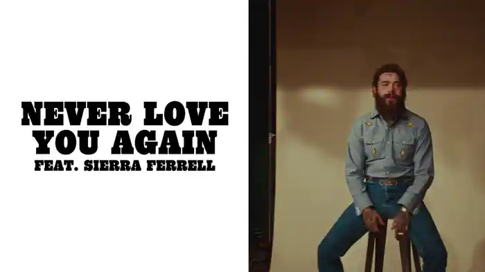 Never Love You Again (Lyric Video)