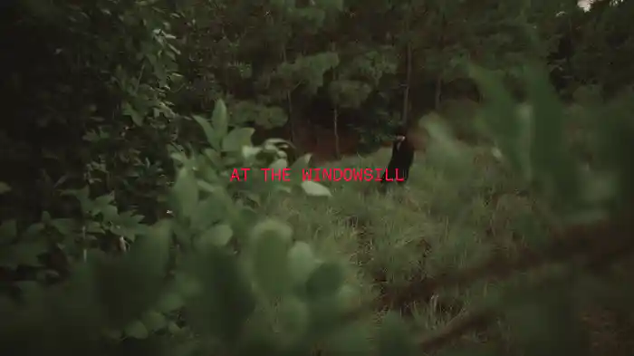 Windowsill (Lyric Video)