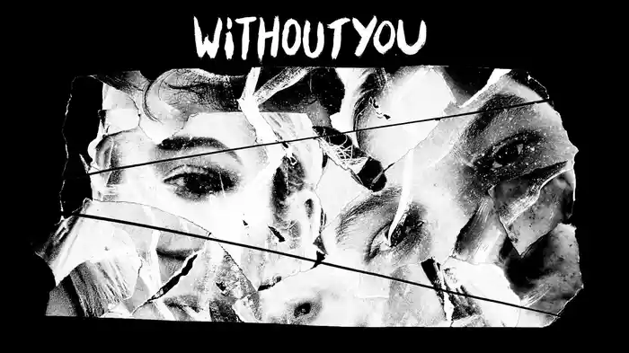 Without You (Visualiser)