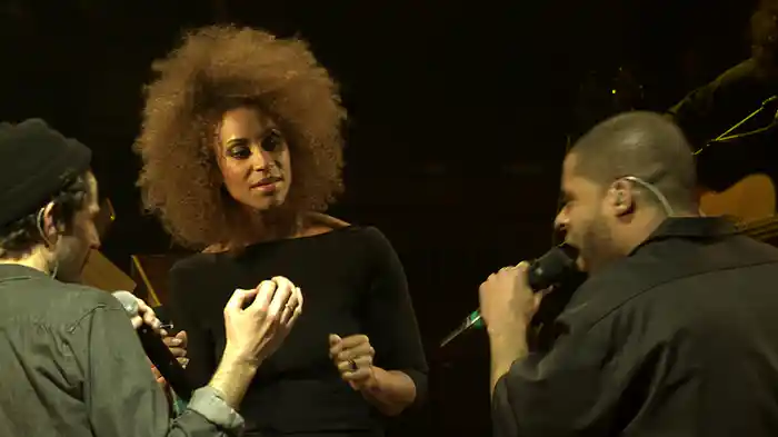 Wenn der Vorhang fällt (MTV Unplugged 2013)