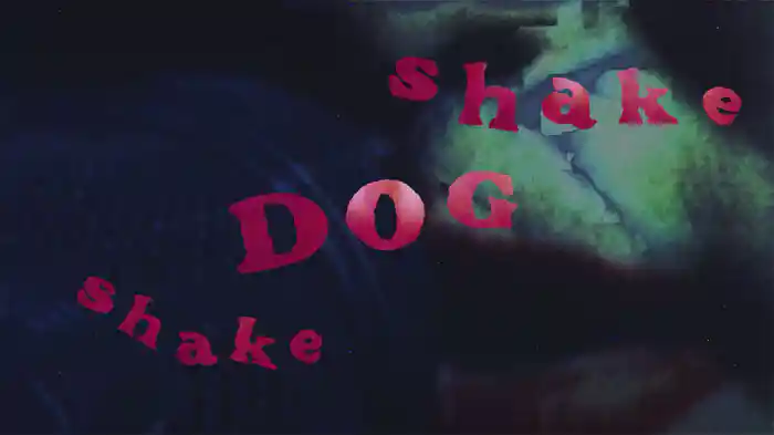 Shake Dog Shake (Live At Zenith / Visualiser)