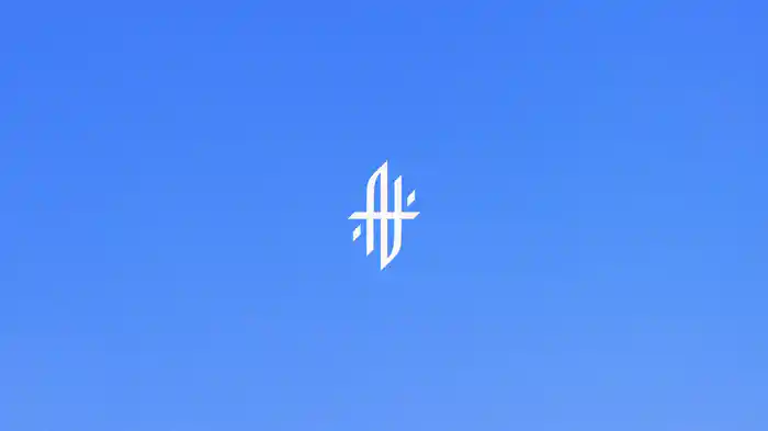 Company (Visualizer)