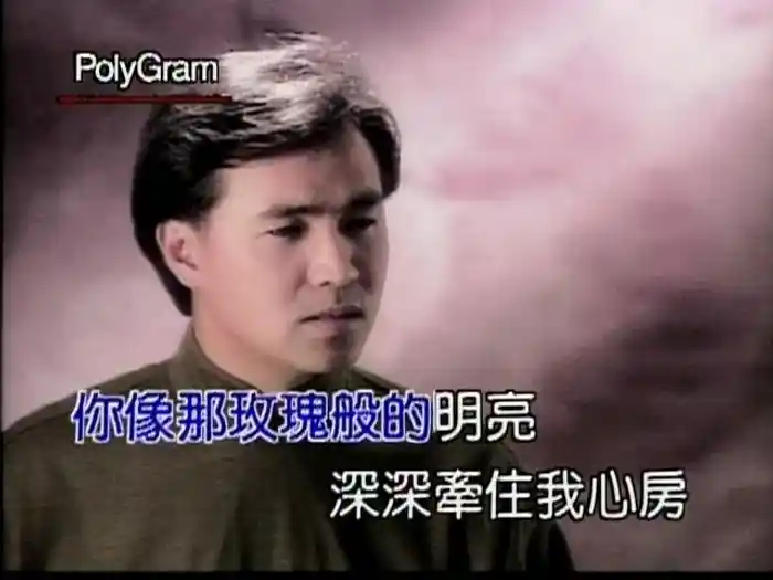 Mei Gui De Huang Yan (Karaoke)