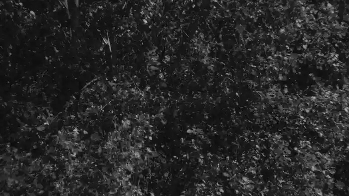 No Such Thing as Silence (Visualizer)