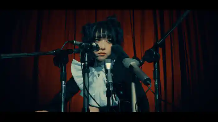 カメラ アイロニー