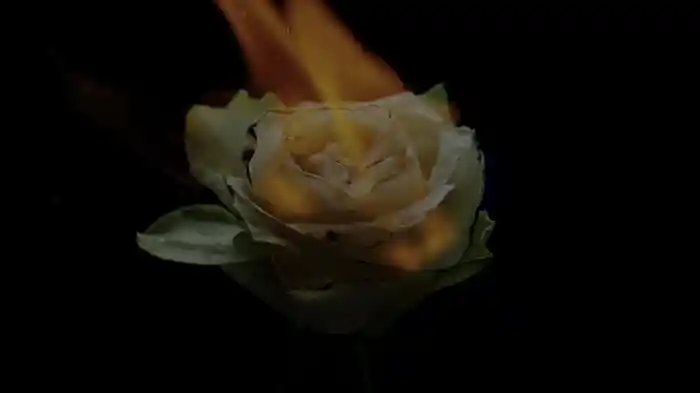 Like You Do (Lyric Video)