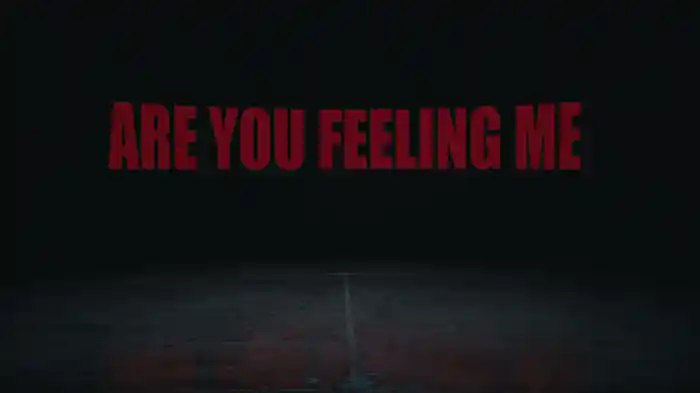 ARE YOU FEELING ME ? (Lyric Video / OUTRO)