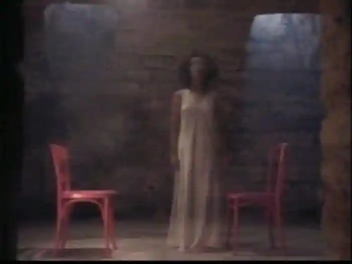 Chu Nu Zuo Qing Ren (Karaoke)
