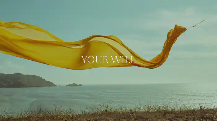 Your Will, Your Way (Lyric Video)