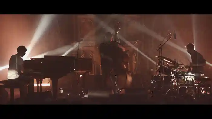 Weird Cat (Live At The Union Chapel, London / 2015)
