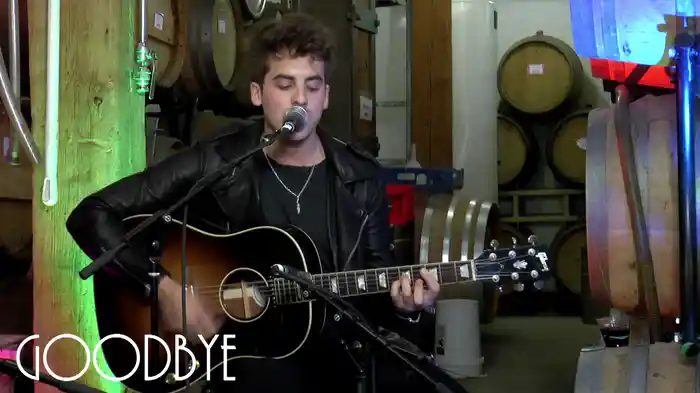 Goodbye (Live At City Winery)