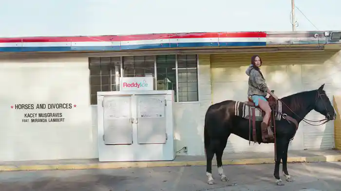 Horses and Divorces (Lyric Video)
