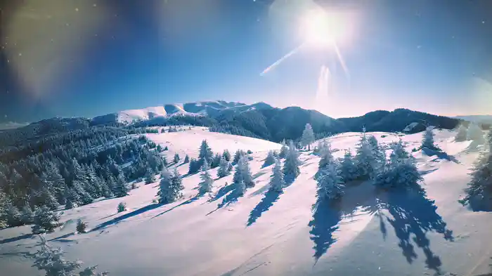 Vintersong (Audio)