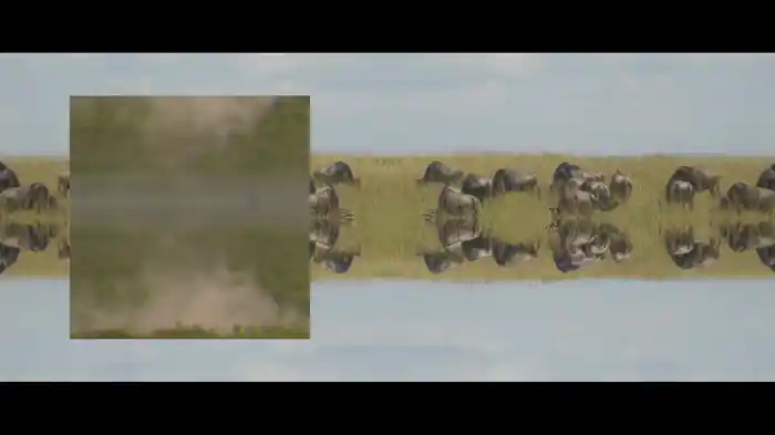 Mumford & Sons And National Geograpic Present: Picture You / Darkness Visible (Lyric Video)