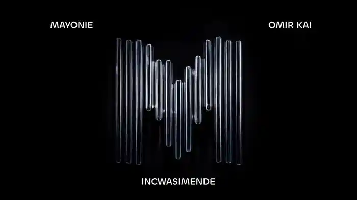 Incwasimende (Visualizer)