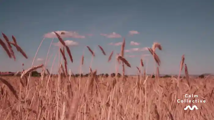 Windy Day (Visualiser)