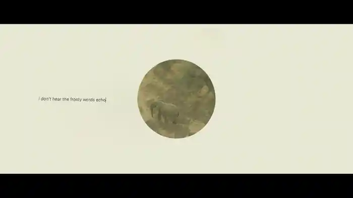 Mumford & Sons And National Geograpic Present: Woman (Lyric Video)