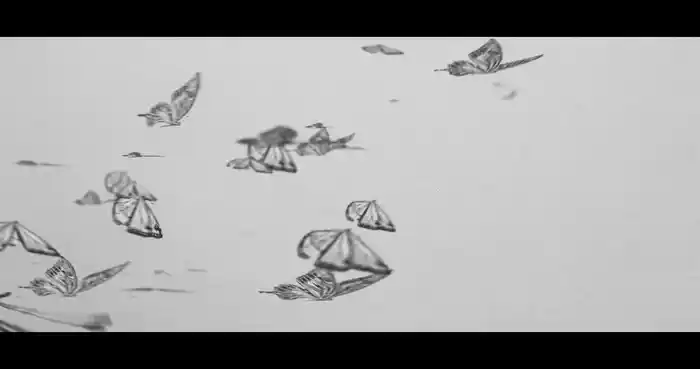 Butterflies Pt. 2 (Lyric Video)