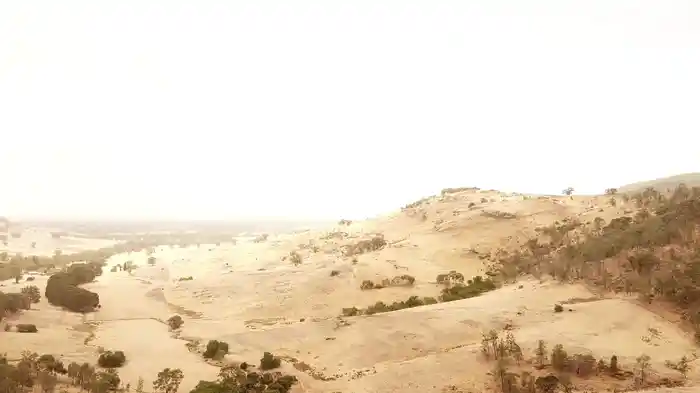 Antoinette Boulevard