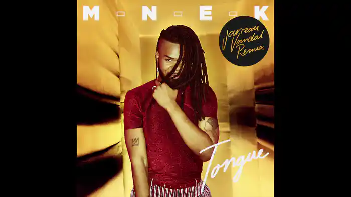 Tongue (Jarreau Vandal Remix / Audio)