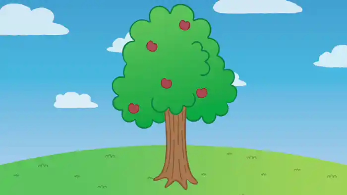 Zo groot als een boom