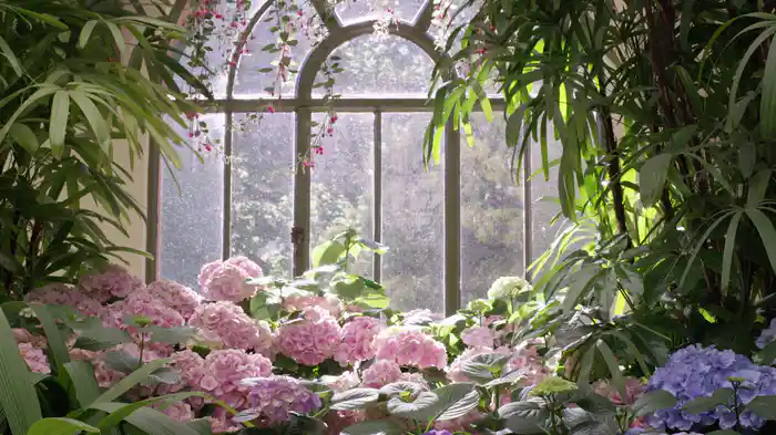 Se Eu Não Te Amasse Tanto Assim