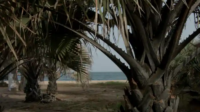 Remember (Lyric Video)